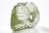 Green Olivine Peridot Crystal - Pakistan #213544-1